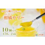 ゼリー 柑橘 河内晩柑 しらぬい 170g