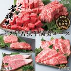 若狭牛 定期便 3ヶ月 サイコロステーキ ステーキ肉