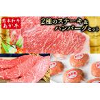 2種のステーキ&ハンバーグセット 1kg超