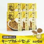キーマカレー6箱セット 中辛 カレー キーマカレー
