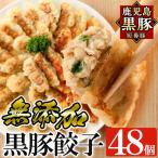 餃子 鹿児島黒豚 短鼻豚 無添加餃子セット計48個