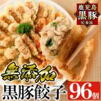餃子 鹿児島黒豚 短鼻豚 無添加餃子セット計96個