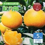 紅八朔 約5kg