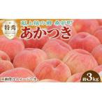 ふるさと納税 No.096 もも(あかつき)特秀 約3kg「献上桃の郷」ブランド品 福島県桑折町