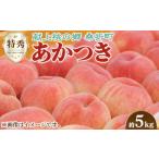 ショッピングふるさと納税 桃 ふるさと納税 No.099 もも（あかつき）特秀　約5kg「献上桃の郷」ブランド品【返礼品発送期間：令和6年7月〜8月頃】 福島県桑折町