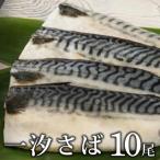 10枚セット 一汐さば おろし大根付き B-931