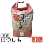 美濃桜尾産 美濃ハツシモ 精米約10kg