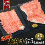 店主こだわり雌牛 飛騨牛A5等級 ステーキ&焼き肉用計約2.5kg