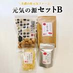美濃山県元気ファーム 元気の源セットB