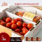 エンリッチミニトマトセット 3箱コース