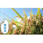 ふるさと納税 【無洗米12ヶ月定期便】特別栽培「きなうす米」北海道産ゆめぴりか5kg×12回 北海道栗山町