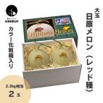 大玉 日原メロン レッド種 2.0kg相当×2玉