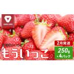 のいちご もういっこ 250g×4パック
