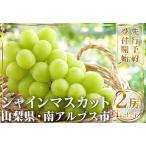 シャインマスカット2房 1kg以上