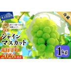 ふるさと納税 シャインマスカット 【2026年先行予約】山梨県産 シャインマスカット約1kg（2〜3房）フルーツ 山梨県富士吉田市