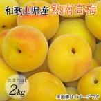 2LまたはL-約2Kg 熟南高梅 秀優混合