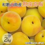 LまたはM-約2Kg 熟南高梅 秀優混合