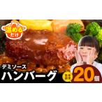 ふるさと納税 ハンバーグ 20個×140g 特製デミグラスソース ハンバーグ 大阪府泉佐野市