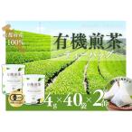 煎茶 有機煎茶 ティーバッグ 宇治
