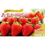 ふるさと納税 【先行予約】いちご 完熟 あすかルビー 約540g(270g× 2パック ) 佃農園のこだわり フルーツ 果物 旬 産地直送 旬のフルー.. 奈良県大和郡山市