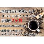 ふるさと納税 【コーヒー豆定期便7ヶ月】甘みたっぷりスペシャルティコーヒー 岐阜県大垣市