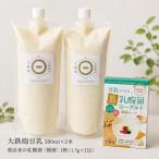 豆乳ヨーグルト 葛乳酸菌 スターターキット