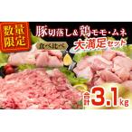 ふるさと納税 数量限定 豚肉 切り落とし 鶏肉 モモ ムネ セット 合計3.1kg 国産 食品 ポーク チキン おかず 人気 大容量 万能食材 焼肉 から揚げ.. 宮崎県日南市