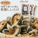 干し椎茸 しいたけ 乾燥 約95g