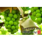 ふるさと納税 シャインマスカット2房 (約1.1kg)<2025年8月上旬から発送開始分先行予約>【A8-066】果物 フルーツ シャインマスカット ぶどう 葡.. 福岡県飯塚市
