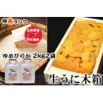 fu.... налог [11 месяц 30 день расчет минут до год внутри рассылка ]ezo морской еж hemicentrotus 100g×1., Yumepirika 2kg×2 пакет F-65010 Hokkaido корень . город 