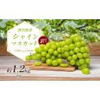 ふるさと納税 訳あり シャインマスカット 1.1kg 2房 家庭用 香川県産 ぶどう ブドウ 葡萄 マスカット フルーツ 果物 くだもの 旬のフルーツ .. 香川県東かがわ市