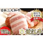 ふるさと納税 ハンバーグ 近江牛 プレミアム 750g (約 150g × 5個 ) ブランド 牛肉 黒毛和牛 【Y095W】 滋賀県近江八幡市