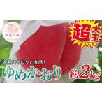 ふるさと納税 【2026年�