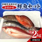おまかせ 鮮魚 セット 約 2kg