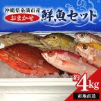 おまかせ 鮮魚 セット 約 4kg