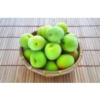青梅4kg 梅
