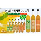 沖縄の贅沢ジュース 12本