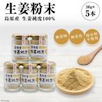BF038島原産 生姜純度100% 生姜粉末 5本