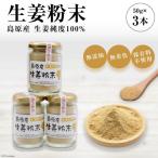BF037島原産 生姜純度100% 生姜粉末 3本