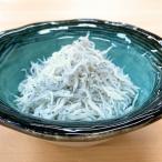しらす干し 約1.5kg