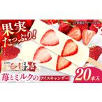 ふるさと納税 アイス 苺とミルクのアイスキャンデー 20本入 / アイス アイスキャンデー 【グレイジア株式会社】 [ATAC213] 高知県高知市