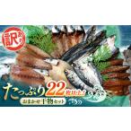 ショッピングふるさと納税 訳あり 不揃い ふるさと納税 【訳あり】ワケありおまかせ干物セット たっぷり22枚以上! 【株式会社 ひらきの高橋】 [ATBU002] 訳あり 不揃い 規格外 支援 支援.. 高知県高知市