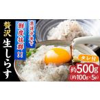 高知産 生シラス イワシ稚魚約100g×5パック入り