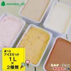 訳あり アイスセット 1L×2個