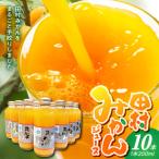 かねよし農園 田村みかんジュース 10本セット_BP6010