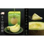 メロン 6ヶ月 定期便 クラウン 白等級 小玉 1玉