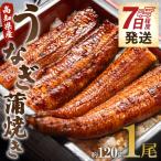 うなぎの蒲焼き 1尾
