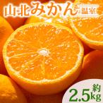 山北温室みかん 約2.5kg
