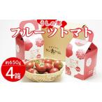 うしの恵 フルーツトマト4箱 650g×4
