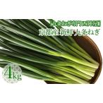 京都産新鮮九条ねぎ 4kg